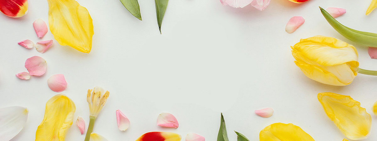cms-banner